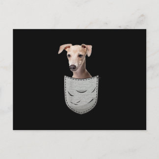 Cartão Postal De Festividades Bolso De Peito De Soro De Gato De Galgo Italiano P