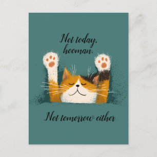 Cartão Postal De Festividades Bonita Noite De Gato Engraçado