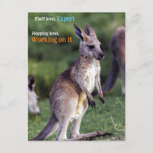 Cartão Postal De Festividades Bonito e fofo joey Kangaroo