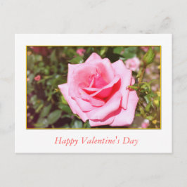 Cartão Postal De Festividades bonito rosa-rosa flor e doce Namorados