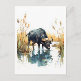Cartão Postal De Festividades Búfalo Africano na Margem da Água