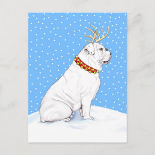 Cartão Postal De Festividades Buldogue Christmas Reindeer White