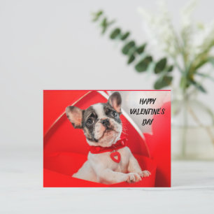 Cartão Postal De Festividades Buldogue Francês dia de os namorados