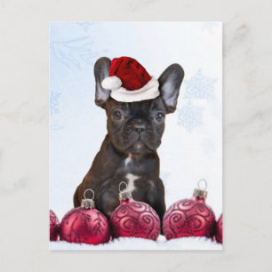 Cartão Postal De Festividades Buldogue francês do Natal