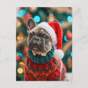 Cartão Postal De Festividades Bulldogue Francês com Roupas de Cachorro de Tricô