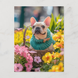 Cartão Postal De Festividades Bulldogue Francês com Roupas de Cachorro de Tricô