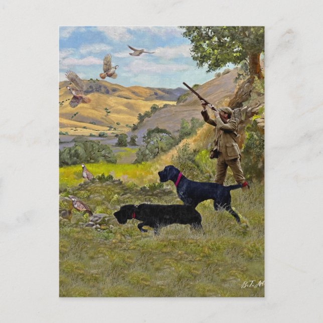 Cartão Postal De Festividades Caça ao Chukar Partridge (Frente)
