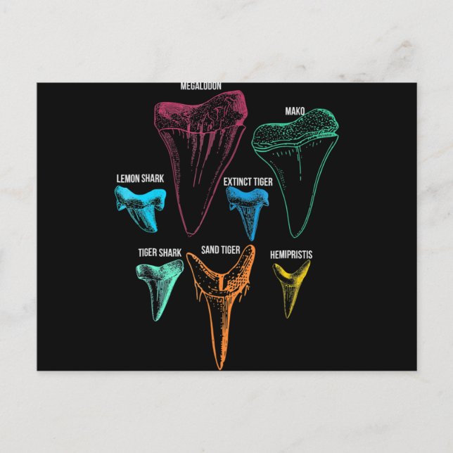 Cartão Postal De Festividades Caça aos dentes de tubarão - Presentes de tubarão  (Frente)