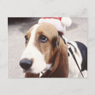 Cartão Postal De Festividades Caça Basset no Chapéu de Santa
