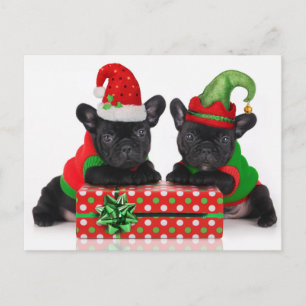 Cartão Postal De Festividades cachorrinho com presente de Natal