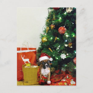 Cartão Postal De Festividades cachorrinho de Natal