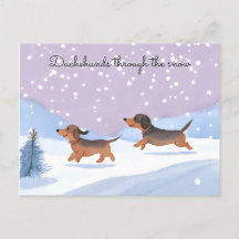 Cachorrinhos Dachshunds fofos na Neve Natal