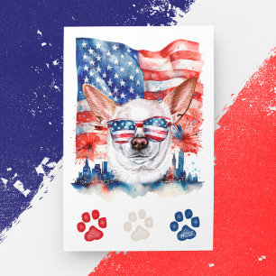 Cartão Postal De Festividades Cachorro Chihuahua Vermelho Branco Azul Americano 