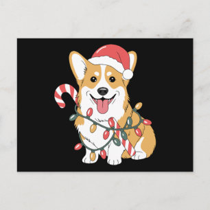 Cartão Postal De Festividades Cachorro Corgi de Natal Chapéu do Papai Noel Luzes