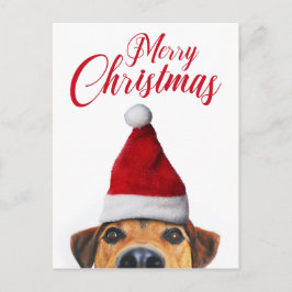 Cartão Postal De Festividades Cachorro Curioso Fofo e Divertido com Chapéu de Pa