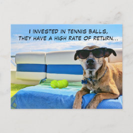 Cartão Postal De Festividades Cachorro de Barco Legal com Óculos de Sol e Bolas 