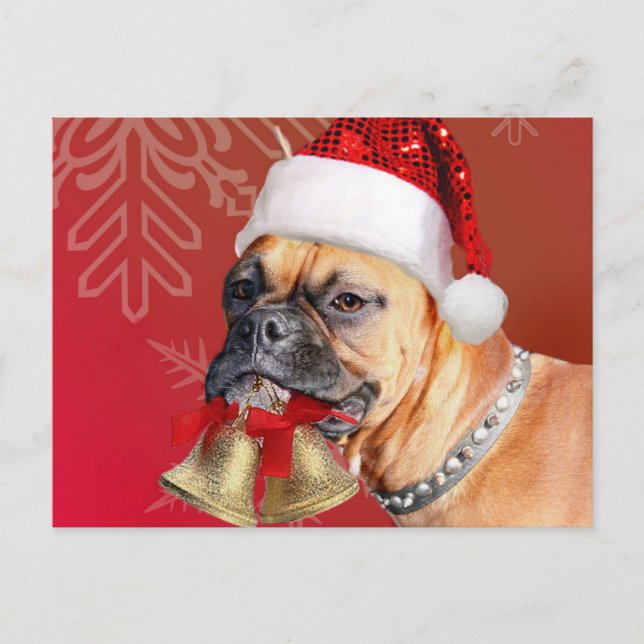 Cartão Postal De Festividades Cachorro de Natal (Frente)