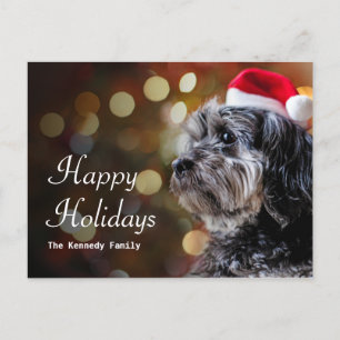 Cartão Postal De Festividades Cachorro De Natal À Espera De Papais noeis