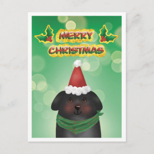 Cartão Postal De Festividades Cachorro de Natal com Chapéu de Papai Noel