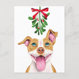Cartão Postal De Festividades Cachorro de Pitbull e Mistura de Natal