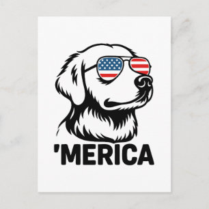 Cartão Postal De Festividades Cachorro De Retriever 4 De Julho Merica
