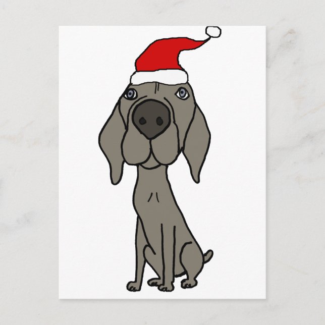 Cartão Postal De Festividades Cachorro de Weimaraner em Santa Hat (Frente)