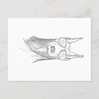 Cartão Postal De Festividades Cachorro Doberman Engraçado Com Óculos De Sol