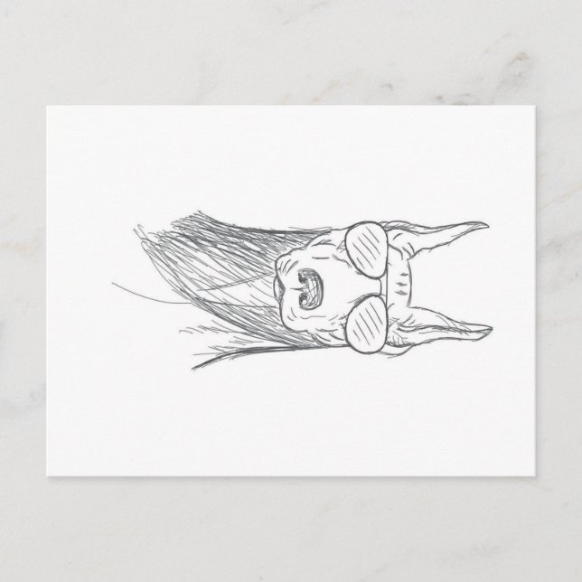 Cartão Postal De Festividades Cachorro Doberman Engraçado Com Óculos De Sol (Frente)