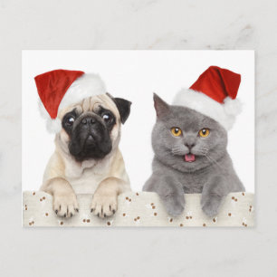 Cartão Postal De Festividades Cachorro E Gato No Chapéu Vermelho De Natal
