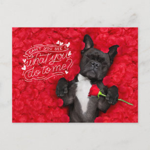 Cartão Postal De Festividades Cachorro Engraçado e Rosas Vermelhas Feliz Dia dos
