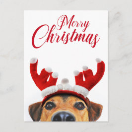 Cartão Postal De Festividades Cachorro Engraçado Reindeer Engraçado Antler Headb
