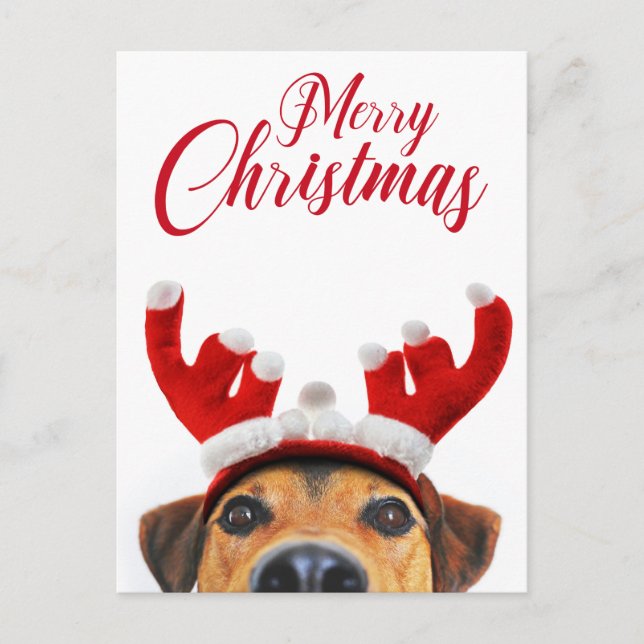 Cartão Postal De Festividades Cachorro Engraçado Reindeer Engraçado Antler Headb (Frente)