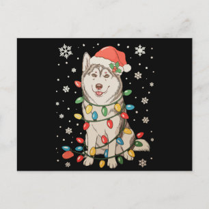 Cartão Postal De Festividades Cachorro Husky Chapéu de Papai Noel Luzes de Natal