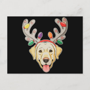 Cartão Postal De Festividades Cachorro Labrador Luzes de Natal Galhadas de Rena