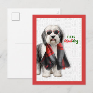 Cartão Postal De Festividades Cachorro Pastor Fofo Piadas de Pulgas Navidog Nata