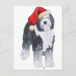 Cartão Postal De Festividades Cachorro Pastor Inglês Antigo Chapéu de Papai Noel