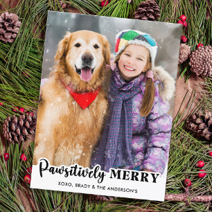 Cartão Postal De Festividades Cachorro Pet Bonito - Foto Pawsitivamente do Melho