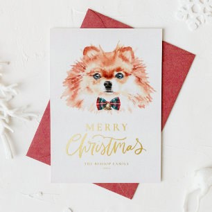 Cartão Postal De Festividades Cachorro Pomeraniano Cachorro Cachorro Feliz Natal