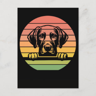 Cartão Postal De Festividades Cachorro Vizsla espiando pôr do sol vintage retro 