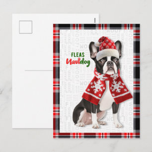 Cartão Postal De Festividades Cachorros Boston Terrier Pulgas Navidog Natal