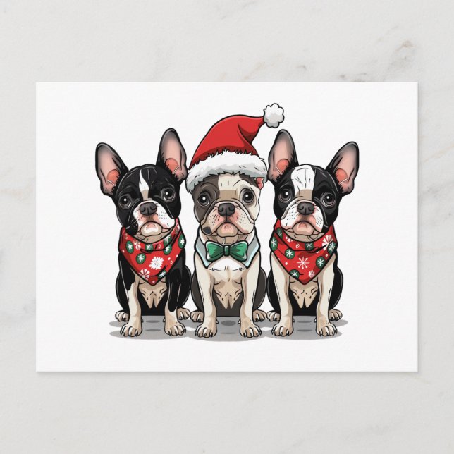 Cartão Postal De Festividades Cães Boston Terrier de Natal (Frente)