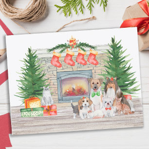 Cartão Postal De Festividades Cães Cães Cães Cachorros Cachorros Gatinhos Fof