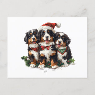 Cartão Postal De Festividades Cães das Montanhas Bernesas de Natal