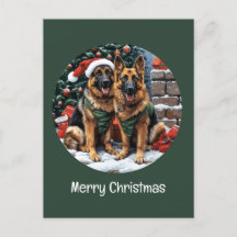 Cães de German shepherd Feliz de Natal