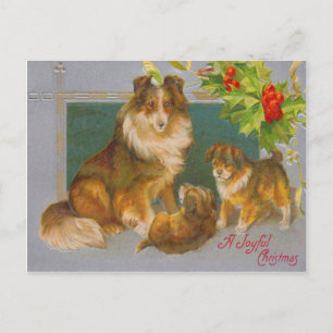 Cartão Postal De Festividades Cães no Natal