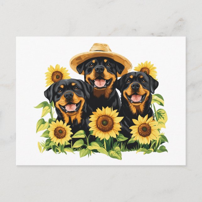 Cartão Postal De Festividades Cães Rottweiler Cercados Por Girassóis (Frente)