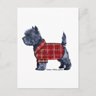 Cartão Postal De Festividades Cairn Terrier Holiday