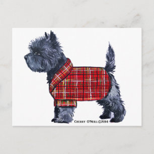 Cartão Postal De Festividades Cairn Terrier Holiday