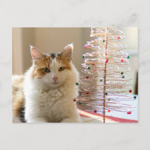 Cartão Postal De Festividades Calico casaco deitado por sua mini árvore de Natal