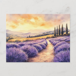 Cartão Postal De Festividades Campos de lavanda lindos